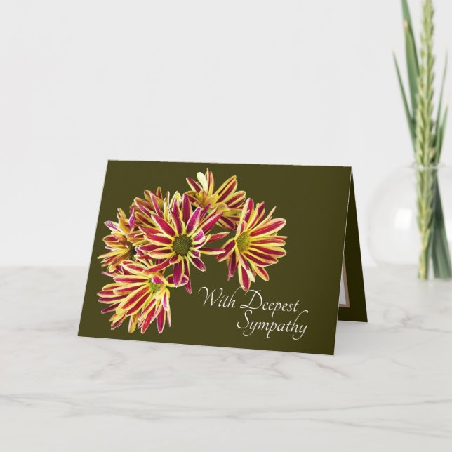 Daisies Olive Green Background Sympathy Card (Front)