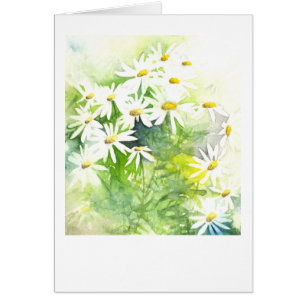 Daisies on green