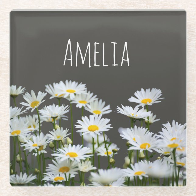 Daisies on Grey Glass Coaster (Front)