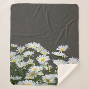 Daisies on Grey  Sherpa Blanket
