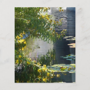 Daisies on pond