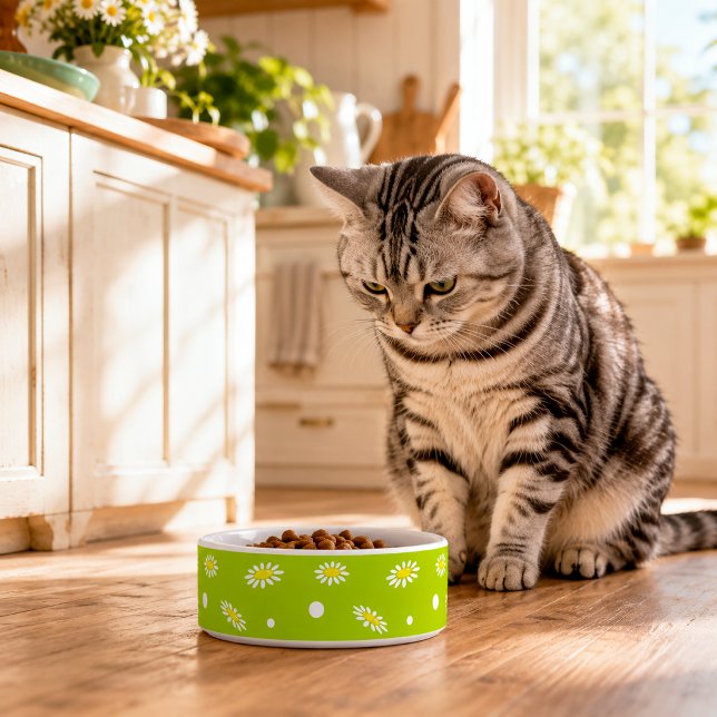 Daisies Pet Bowl (Creator Uploaded)