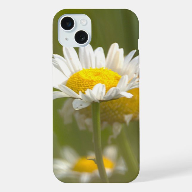 Daisies Photo  iPhone Case (Back)
