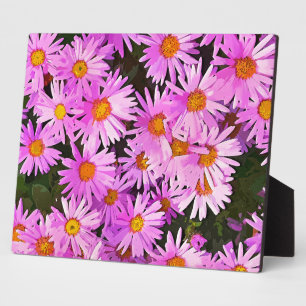 DAISIES PLAQUE