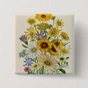 Daisies, plate 31 from 'The Ladies' 15 Cm Square Badge