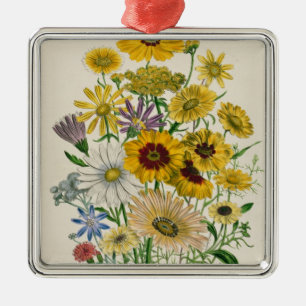 Daisies, plate 31 from 'The Ladies' Metal Ornament