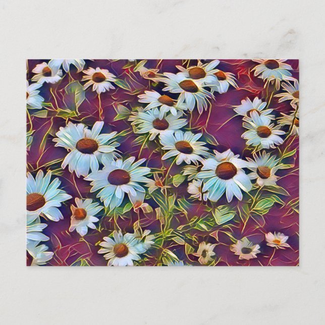 DAISIES  POSTCARD (Front)