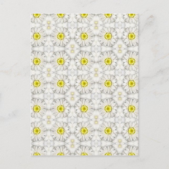 Daisies Postcard (Front)