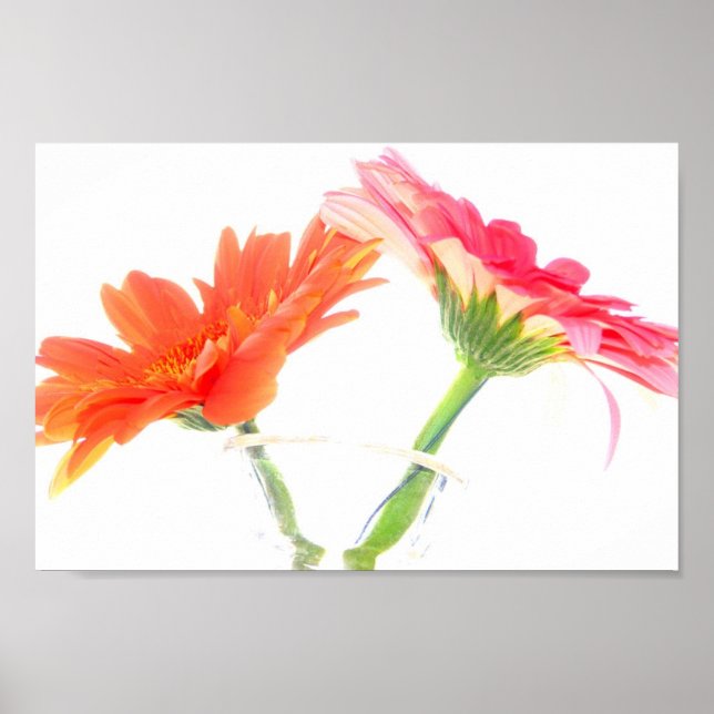 Daisies Poster (Front)