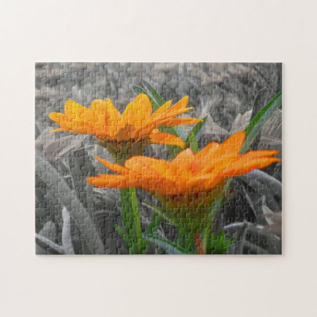 Daisies Puzzle (Horizontal)