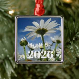 Daisies Reaching for the Sky Metal Ornament