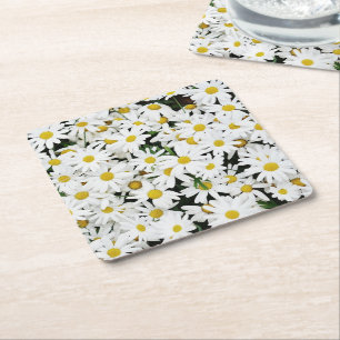 Daisies Square Paper Coaster