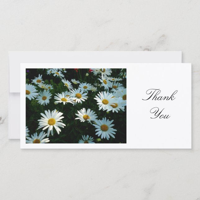 Daisies - Thank You Card (Front)