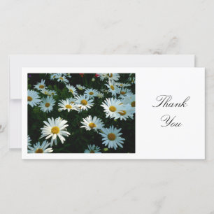 Daisies - Thank You Card
