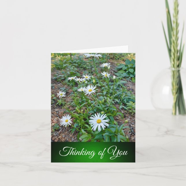 Daisies - Thinking of You Card (Front)