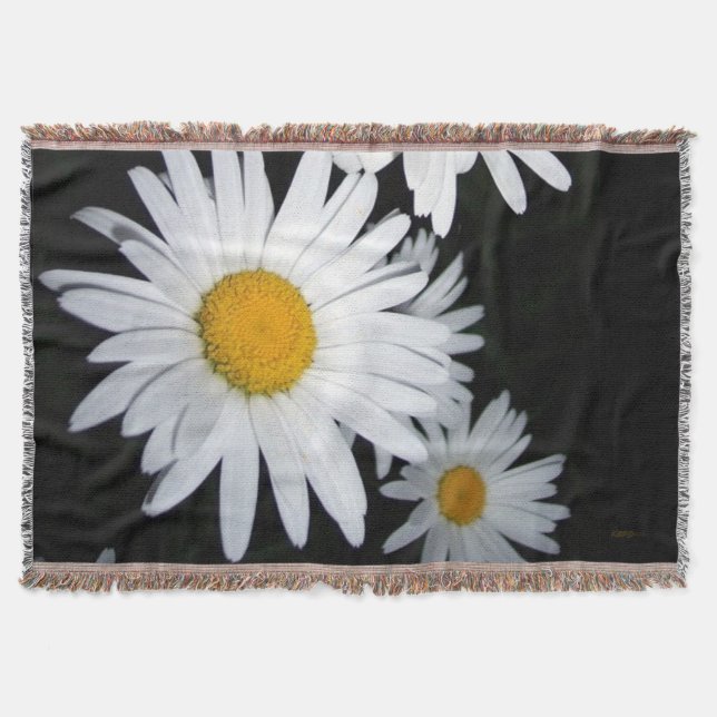 Daisies Throw Blanket (Front)