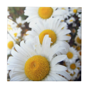 Daisies Tile