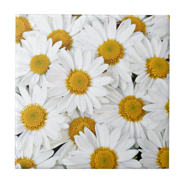 Daisies Tile (Front)