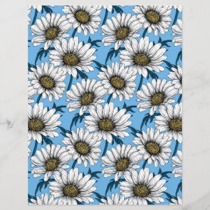 Daisies, wild flowers on blue