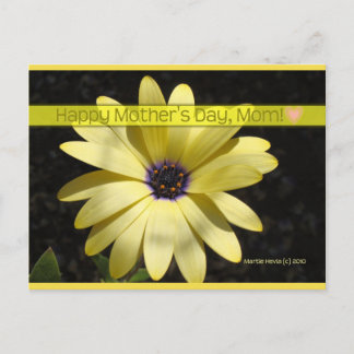 Daisy2 On Mother's Day | Blue Beach Song™ Postcard