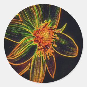 Daisy Abstract Flower Art Classic Round Sticker