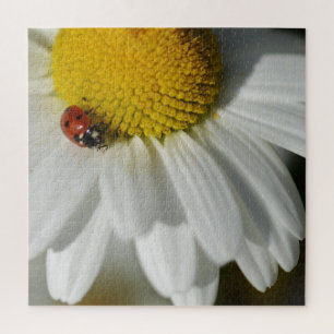 Daisy And A Ladybug Jigsaw Puzzle
