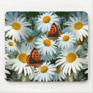 DAISY AND BUTTERFLY ~  Mousepad