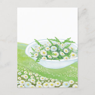 Daisy and Dandelion Spring Salad Illustration Holiday Postcard
