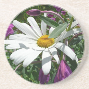 Daisy and Fireweed Wildflower Coaster