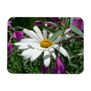 Daisy and Fireweed Wildflower Magnet