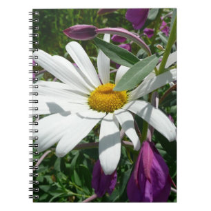Daisy and Fireweed Wildflower Notebook