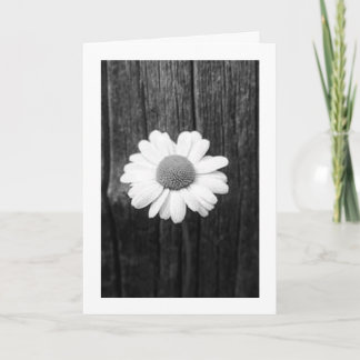 Daisy and Love Card