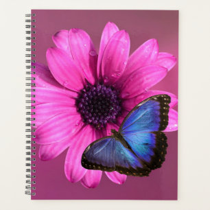 Daisy and Morpho Planner