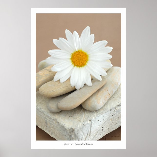 Daisy And Stones Poster (Front)