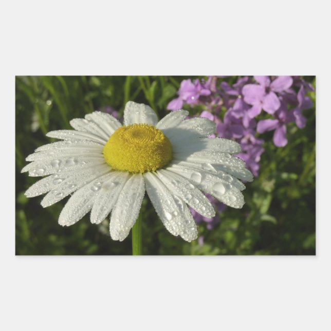 Daisy and Summer Lilac Wildflower Rectangular Sticker (Front)