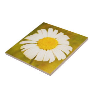 daisy and the lonely summer ceramic tile