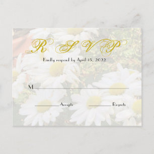 Daisy Background Flowing Yellow Script  Wedding Postcard