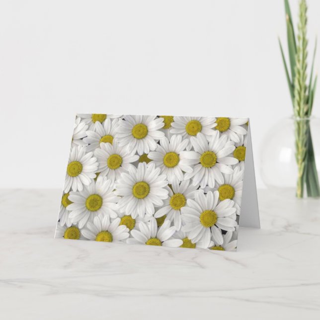 Daisy Birthday Card (Front)