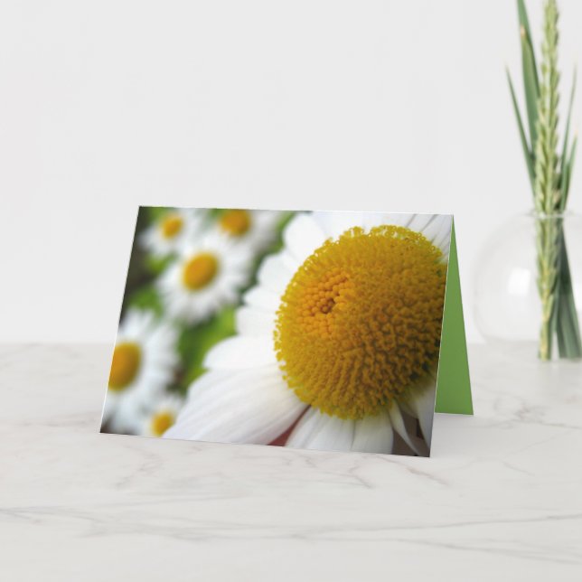 Daisy Birthday Card (Front)