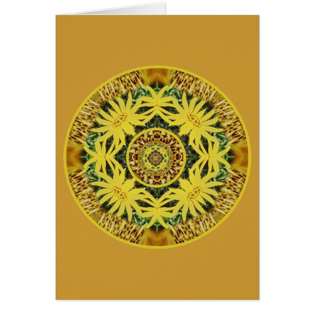 Daisy Bliss Solar Plexus Chakra (Front)