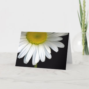 Daisy Bloom Greeting Card