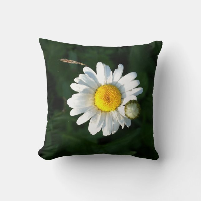 Daisy Blossom Throw Cushion (Front)