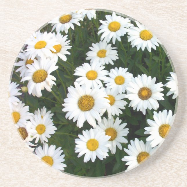Daisy Bouquet Coaster (Front)