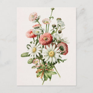 Daisy Bouquet Postcard