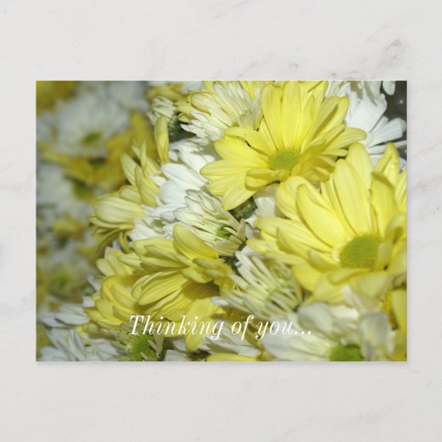 Daisy Bouquets Thinking Of You Postcard (Front)