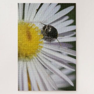 “Daisy & Bumblebee Puzzle – Nature’s Tiny Harmony”