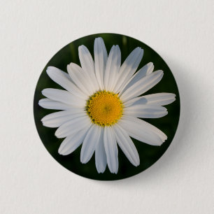 Daisy Button