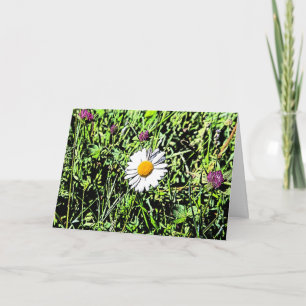 Daisy Card