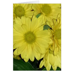Daisy Card (blank inside)