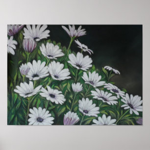 Daisy Chrysanthemum Art Print